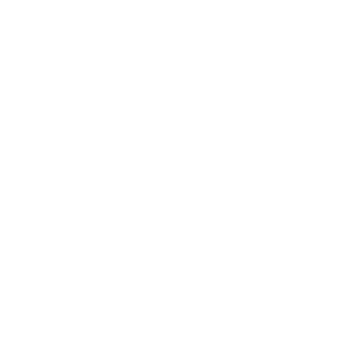 auto icon web