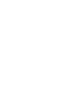 health icon web