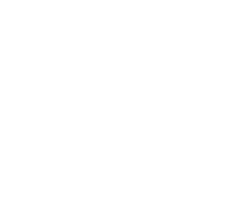 life icon web