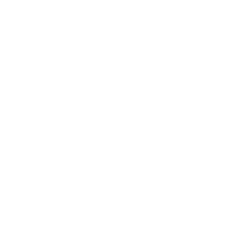 ltc icon web