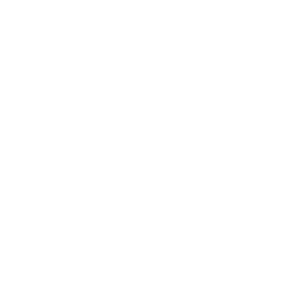 travel icon web